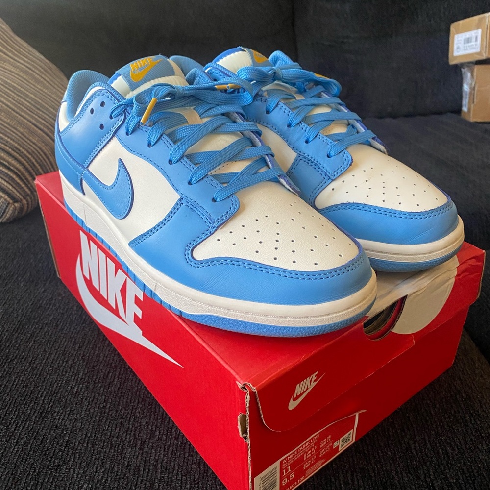 Nike dunk coasts blue